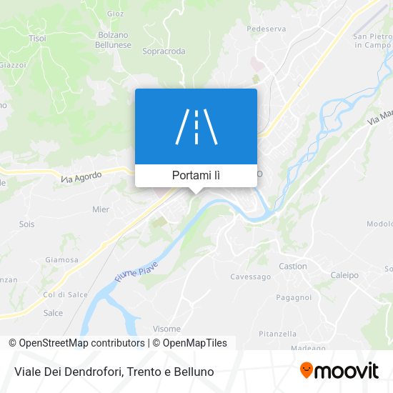 Mappa Viale Dei Dendrofori