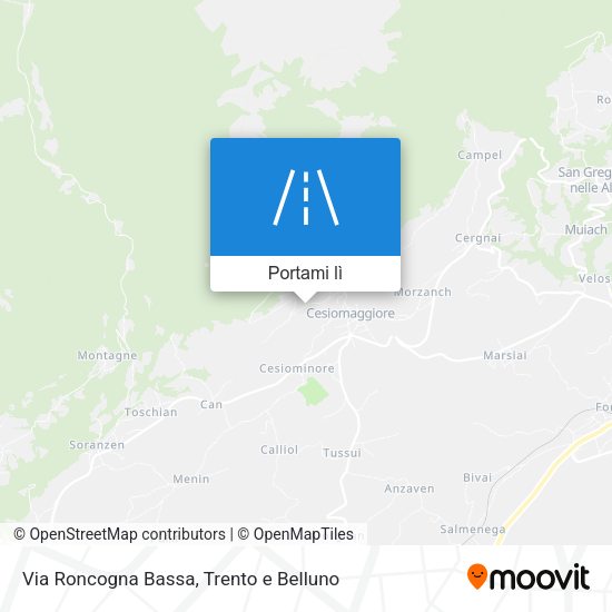 Mappa Via Roncogna Bassa