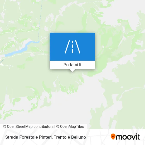 Mappa Strada Forestale Pinteri