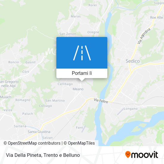 Mappa Via Della Pineta