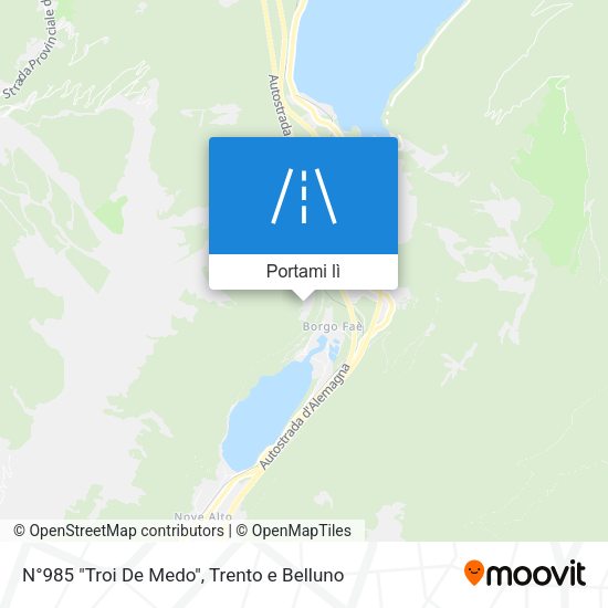 Mappa N°985 "Troi De Medo"
