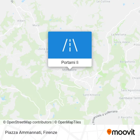 Mappa Piazza Ammannati