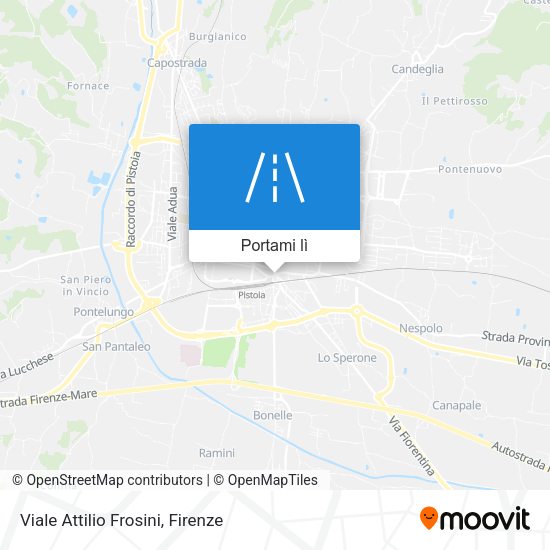 Mappa Viale Attilio Frosini