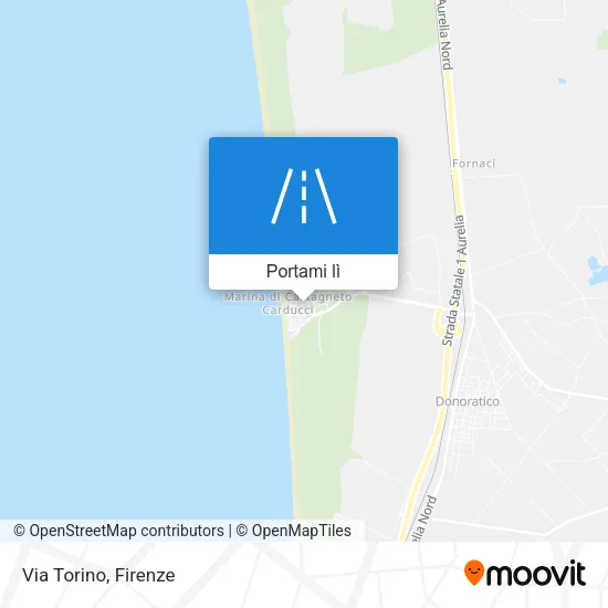 Mappa Via Torino