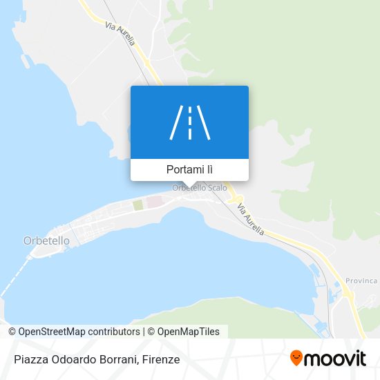 Mappa Piazza Odoardo Borrani