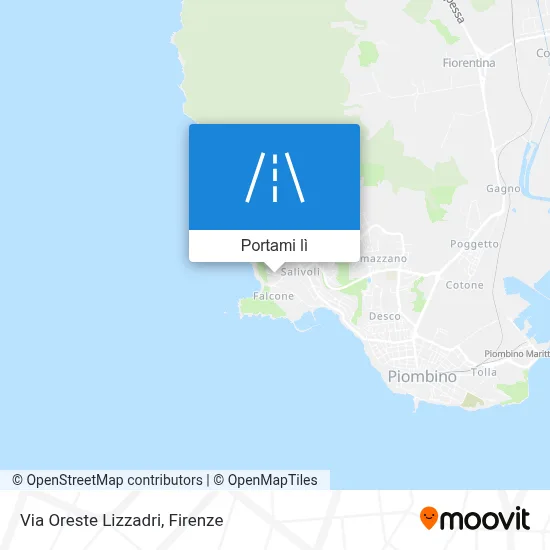 Mappa Via Oreste Lizzadri