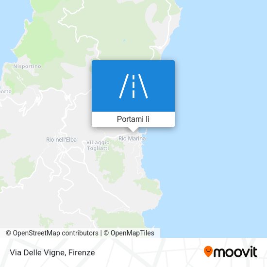 Mappa Via Delle Vigne