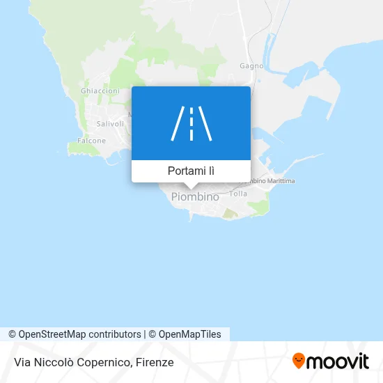 Mappa Via Niccolò Copernico