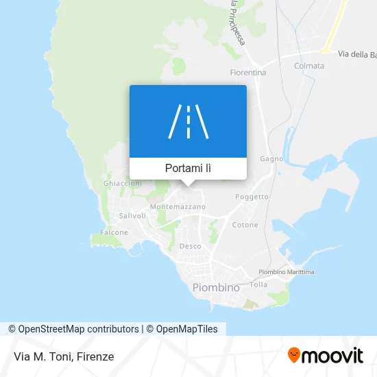 Mappa Via M. Toni