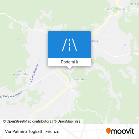 Mappa Via Palmiro Togliatti
