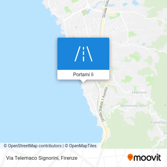 Mappa Via Telemaco Signorini