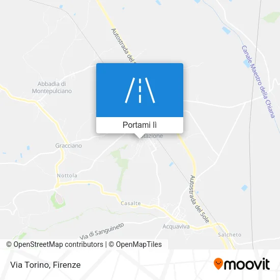 Mappa Via Torino