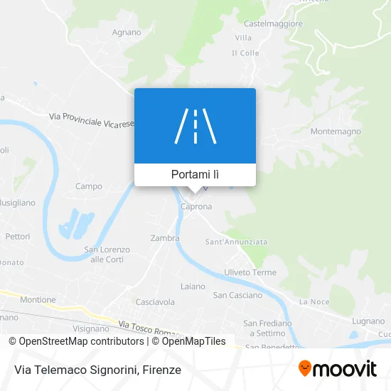 Mappa Via Telemaco Signorini