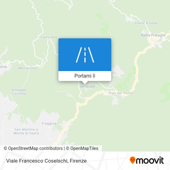 Mappa Viale Francesco Coselschi