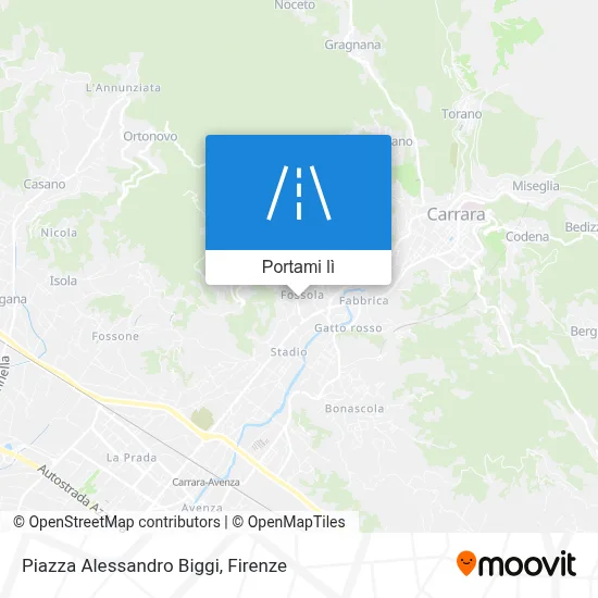 Mappa Piazza Alessandro Biggi