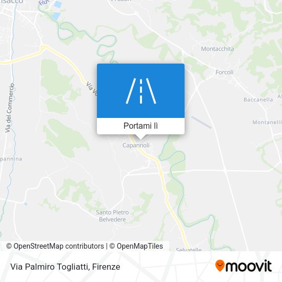 Mappa Via Palmiro Togliatti