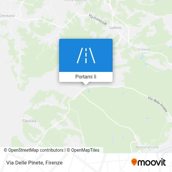 Mappa Via Delle Pinete
