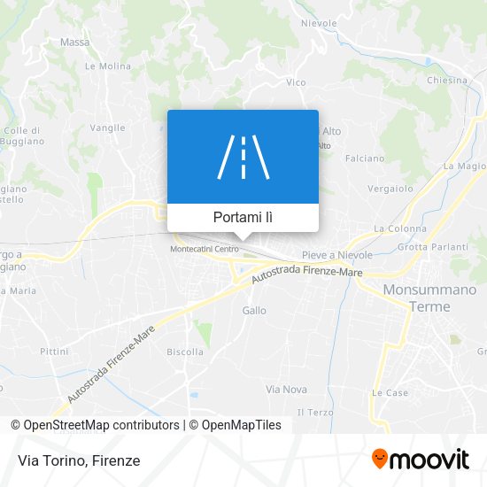 Mappa Via Torino