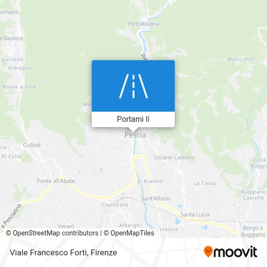 Mappa Viale Francesco Forti