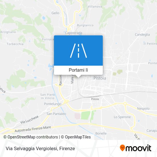 Mappa Via Selvaggia Vergiolesi