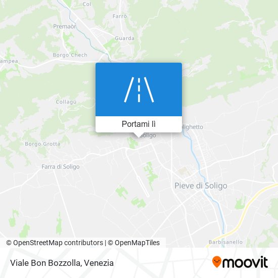 Mappa Viale Bon Bozzolla