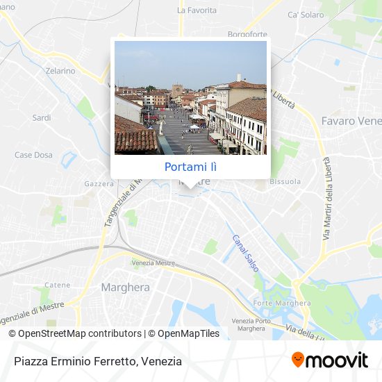 Mappa Piazza Erminio Ferretto