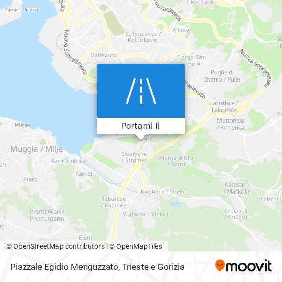 Mappa Piazzale Egidio Menguzzato