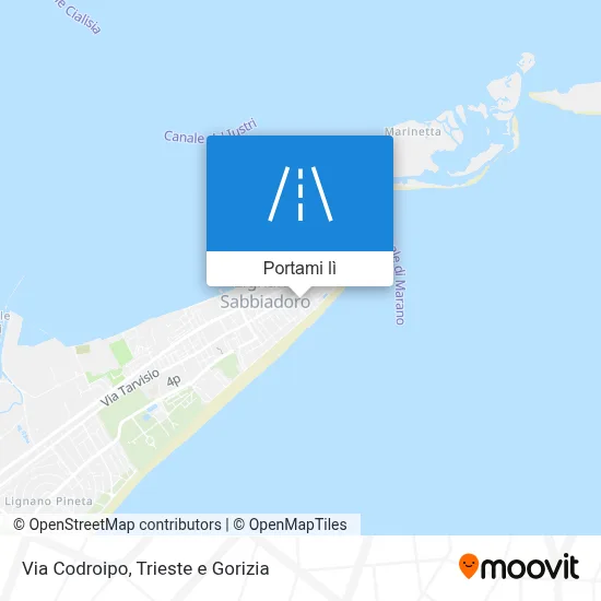 Mappa Via Codroipo