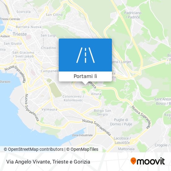 Mappa Via Angelo Vivante