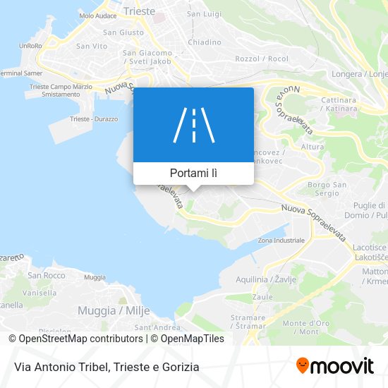 Mappa Via Antonio Tribel