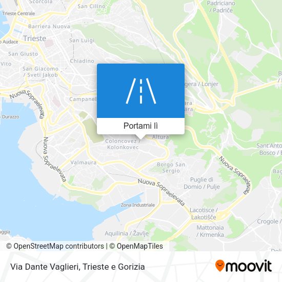 Mappa Via Dante Vaglieri