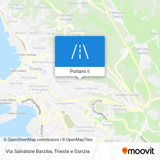 Mappa Via Salvatore Barzilai