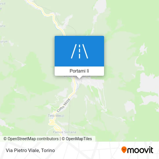 Mappa Via Pietro Viale