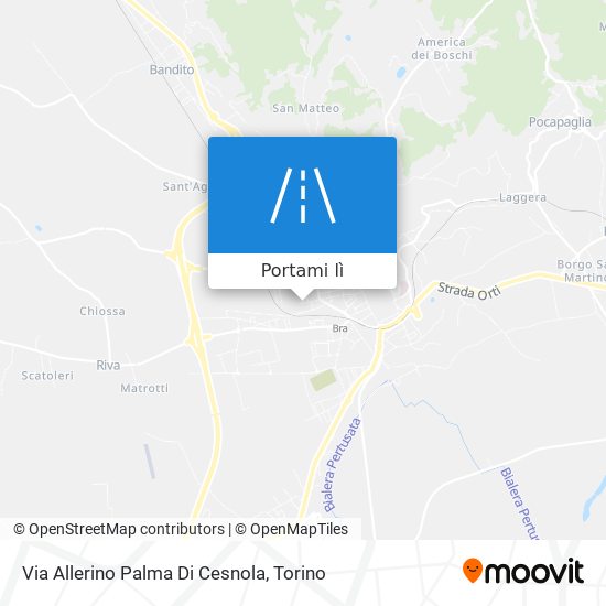 Mappa Via Allerino Palma Di Cesnola