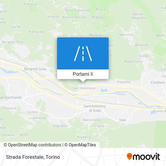 Mappa Strada Forestale