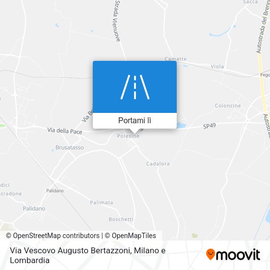 Mappa Via Vescovo Augusto Bertazzoni