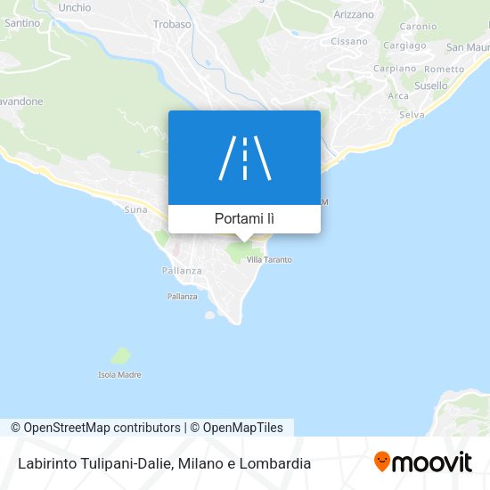 Mappa Labirinto Tulipani-Dalie