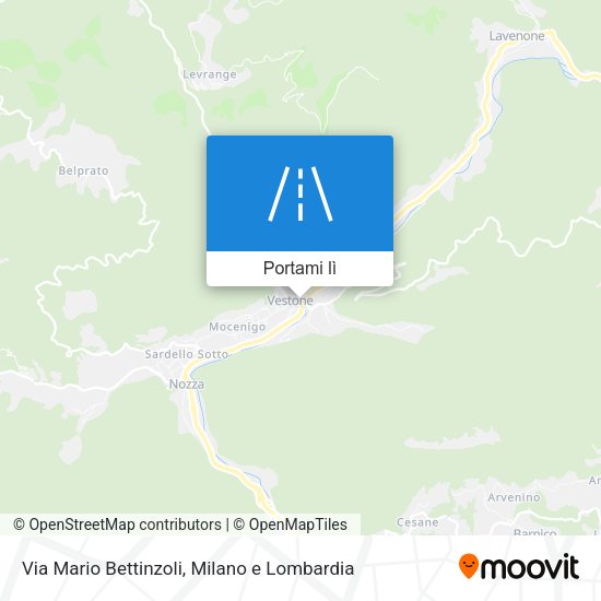 Mappa Via Mario Bettinzoli