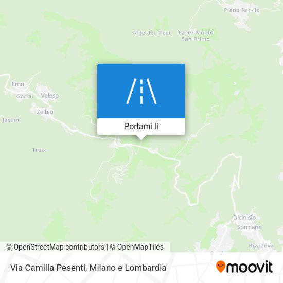 Mappa Via Camilla Pesenti
