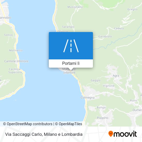 Mappa Via Saccaggi Carlo