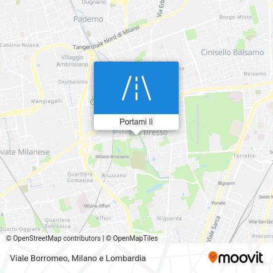 Mappa Viale Borromeo
