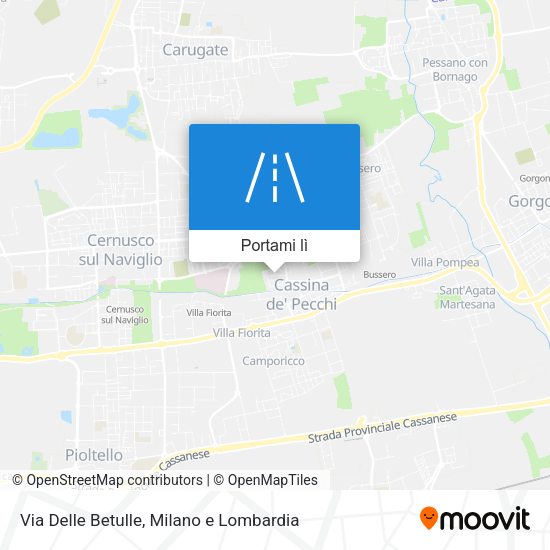 Mappa Via Delle Betulle