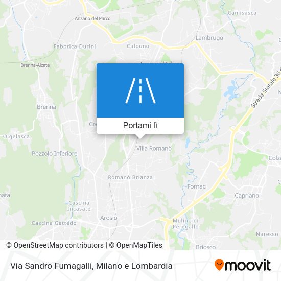 Mappa Via Sandro Fumagalli