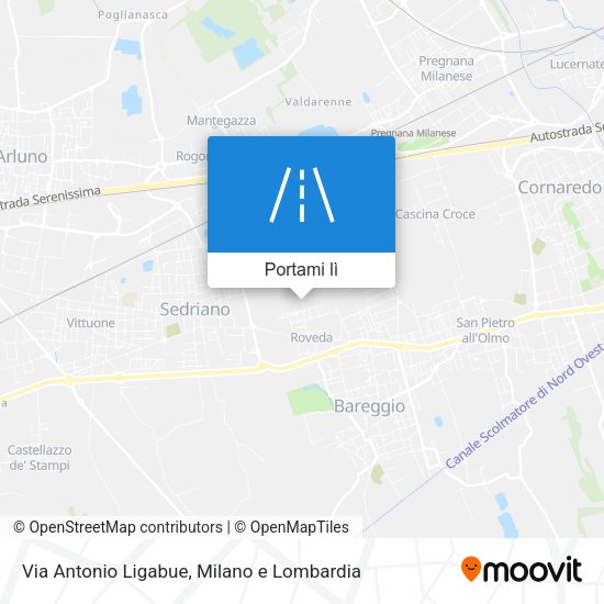 Mappa Via Antonio Ligabue