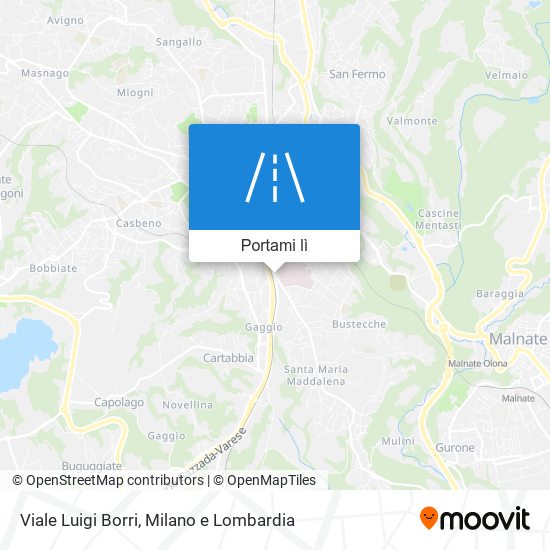 Mappa Viale Luigi Borri