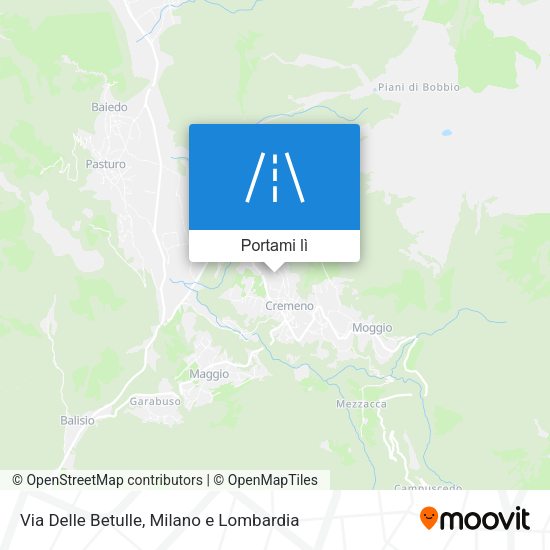 Mappa Via Delle Betulle