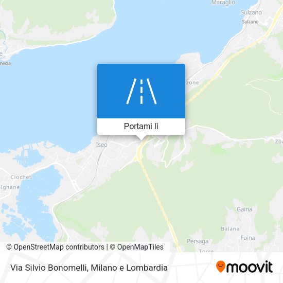 Mappa Via Silvio Bonomelli