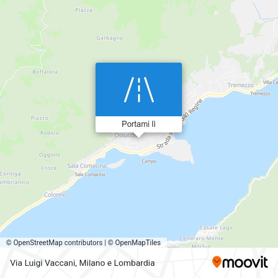 Mappa Via Luigi Vaccani
