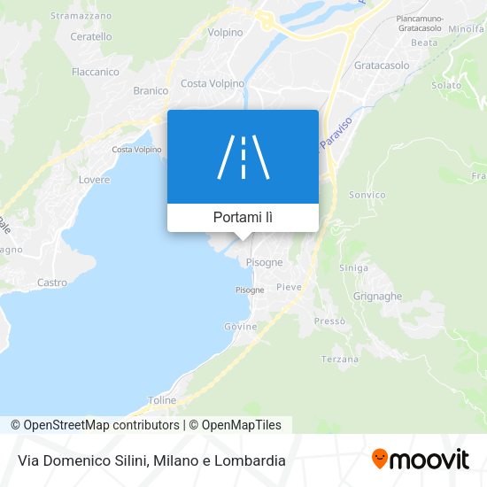 Mappa Via Domenico Silini