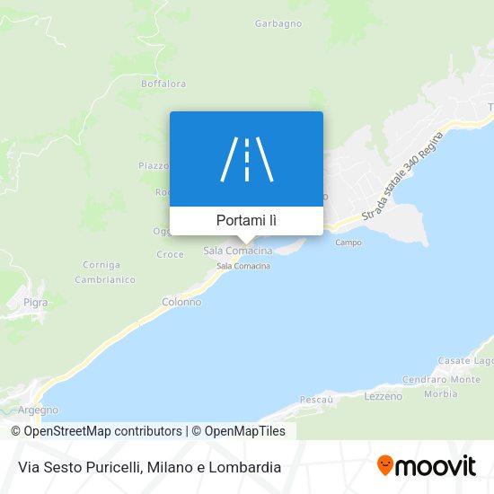 Mappa Via Sesto Puricelli